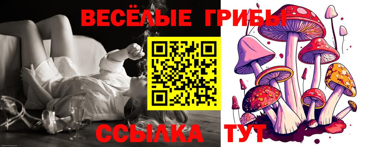 Ялуторовск  Псилоцибиновые грибы мухоморы  Вход с VPN 